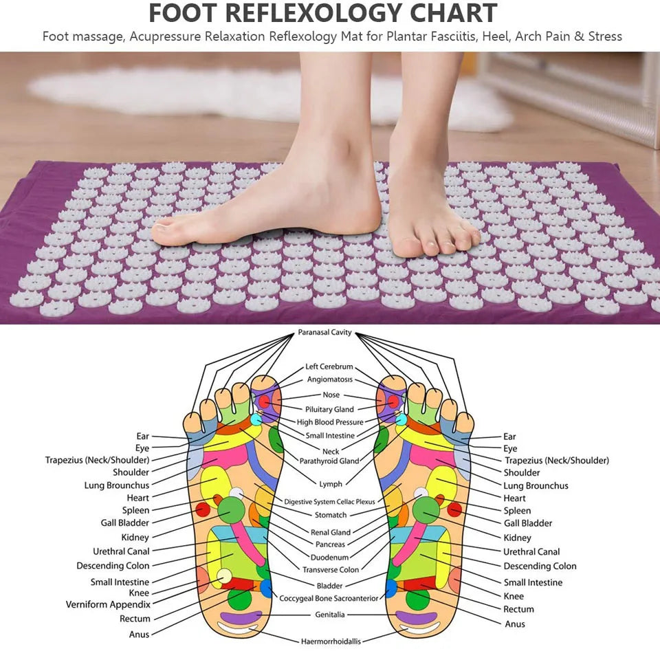 H1fe1e95e5f7e41809e6c3a7d557a7331r