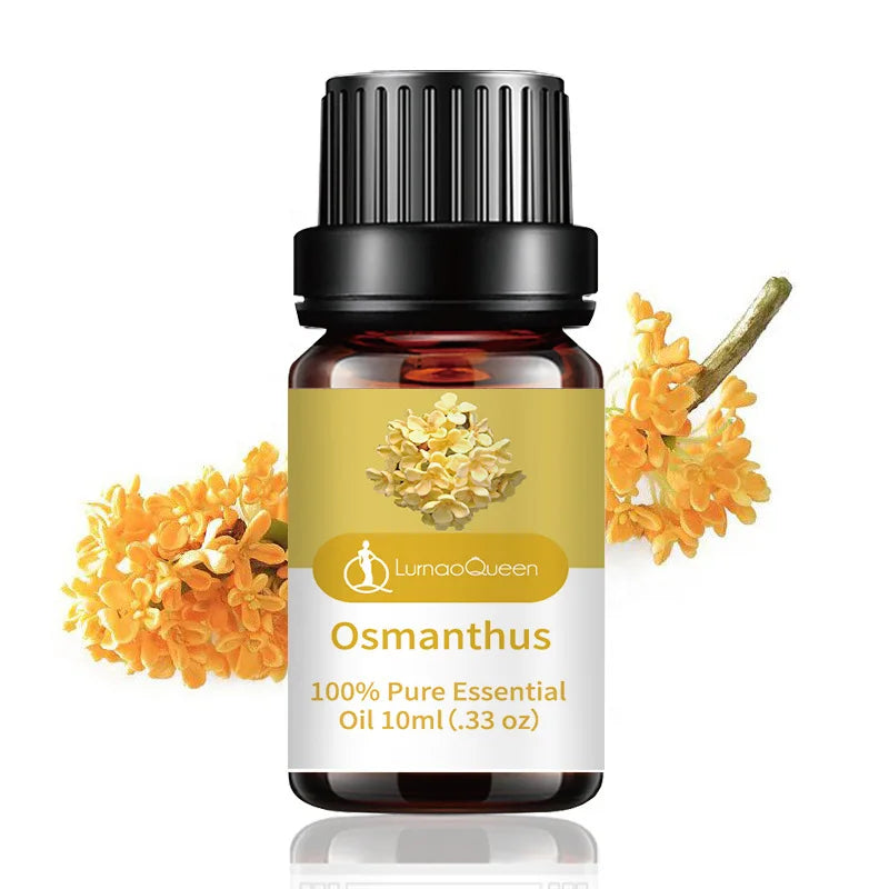 S0413100b040c4aec8a12ab31dff54af19