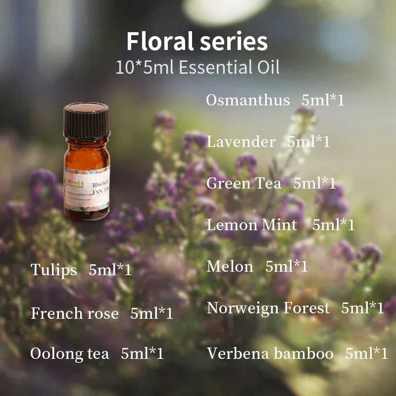 S09e5f28536ba48b3aa10b1466ff78d6da