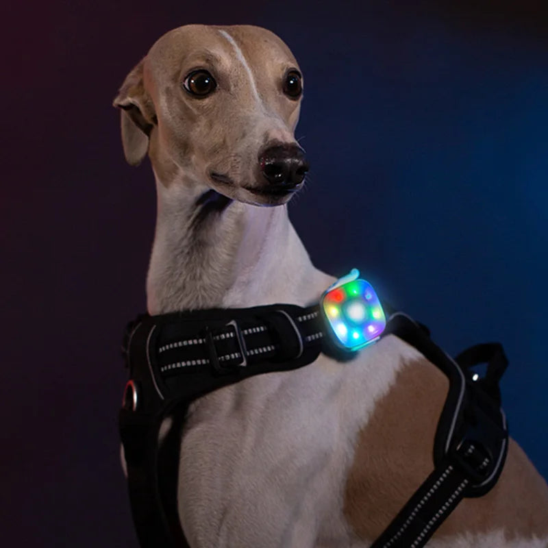 S8e09b6505bcd4006839585e2fec2810a7