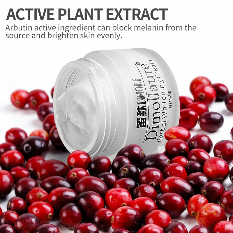 S9fe60eb4fc86422b8ad46da27a9b52a8T