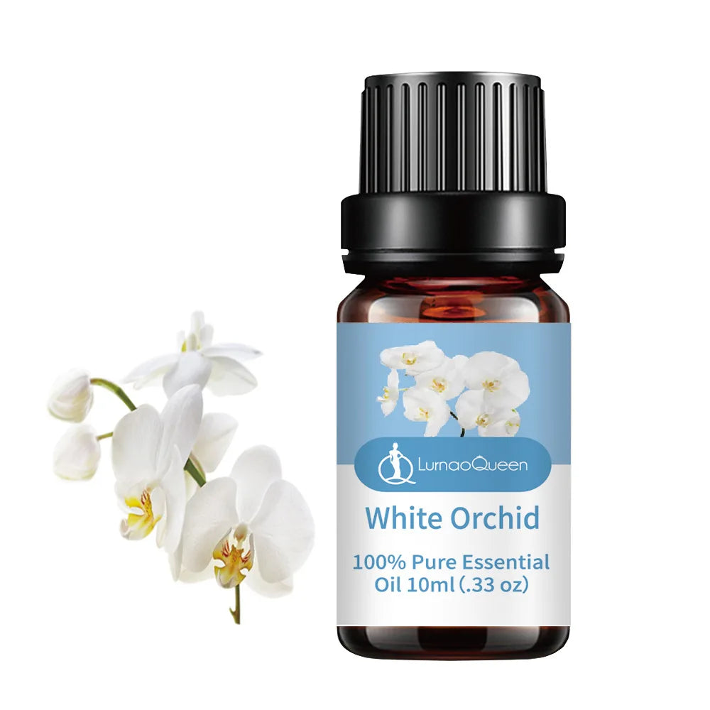 Sabfe7a78ccdd464cb07b31000f0205f0x